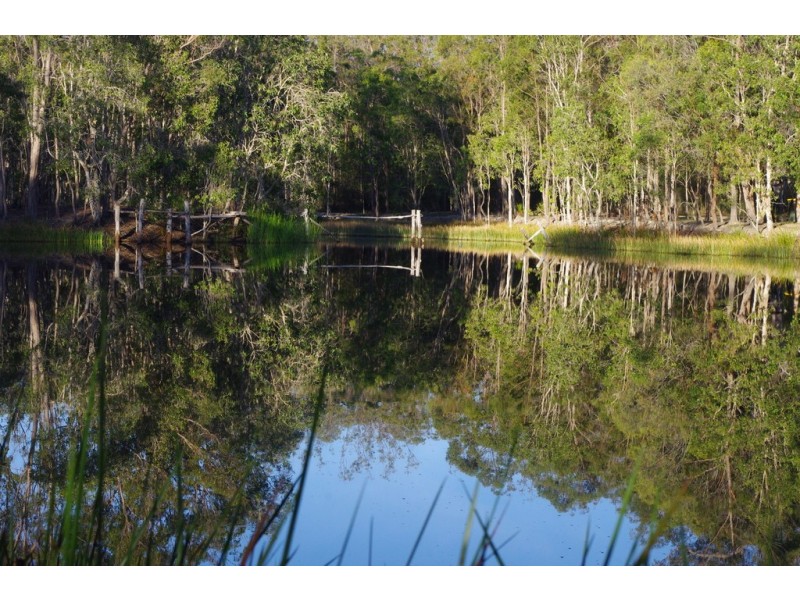 880 Murphy Road, Captain Creek QLD 4677