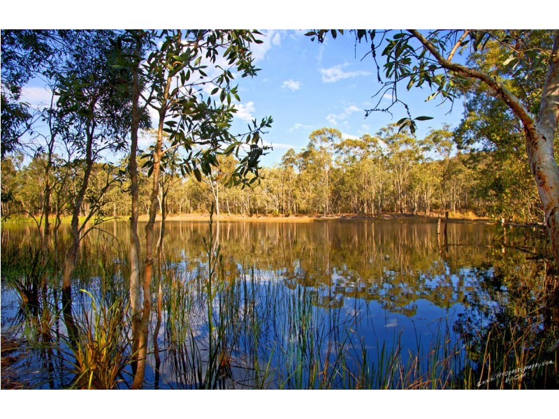 880 Murphy Road, Captain Creek QLD 4677