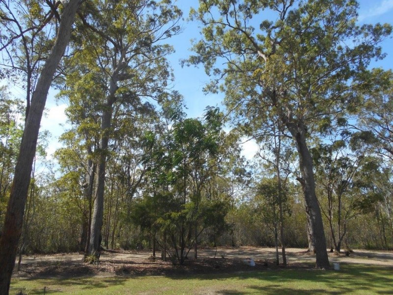 880 Murphy Road, Captain Creek QLD 4677