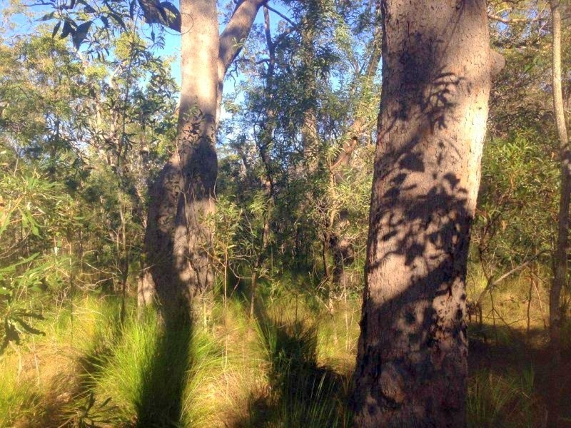 Agnes Water QLD 4677