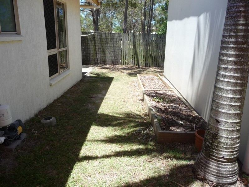 19 Palm Court, Agnes Water QLD 4677