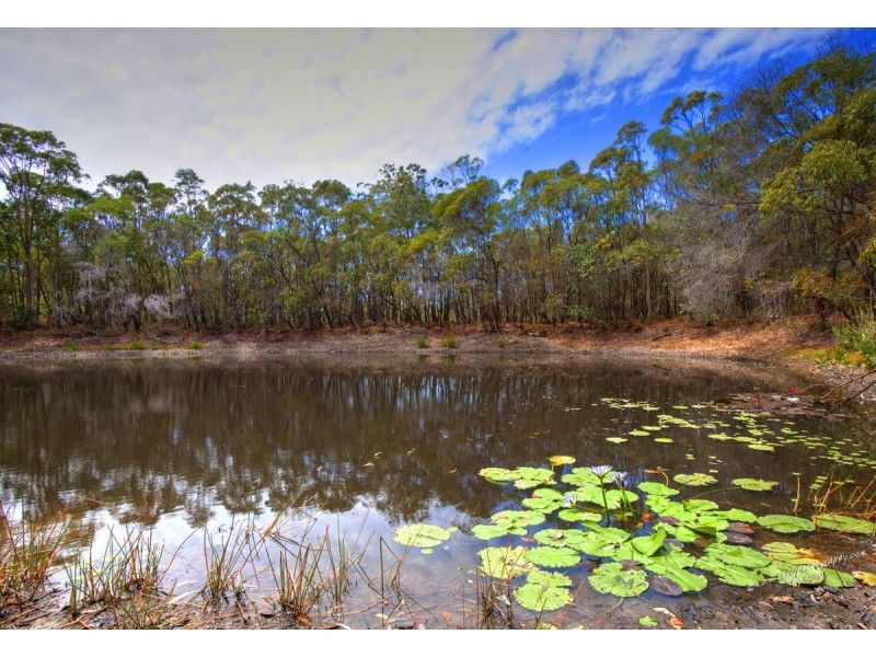 367 Anderson Way, Agnes Water QLD 4677