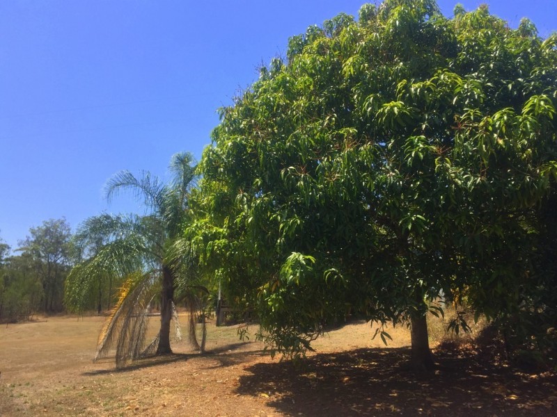 Captain Creek QLD 4677