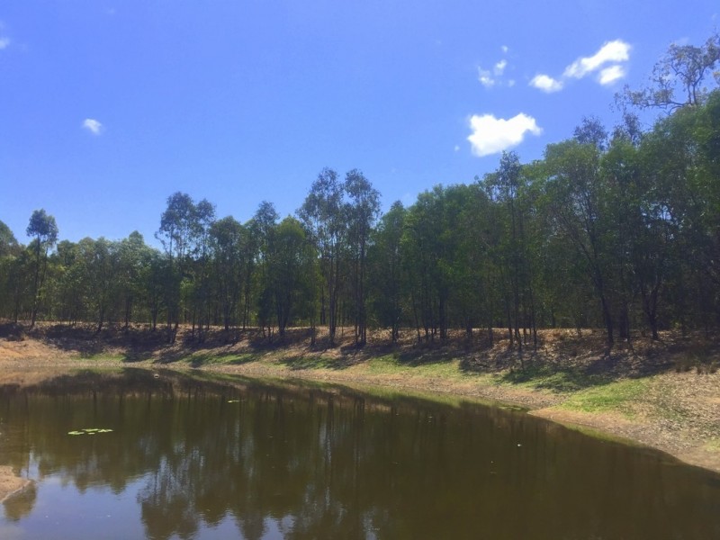 Captain Creek QLD 4677