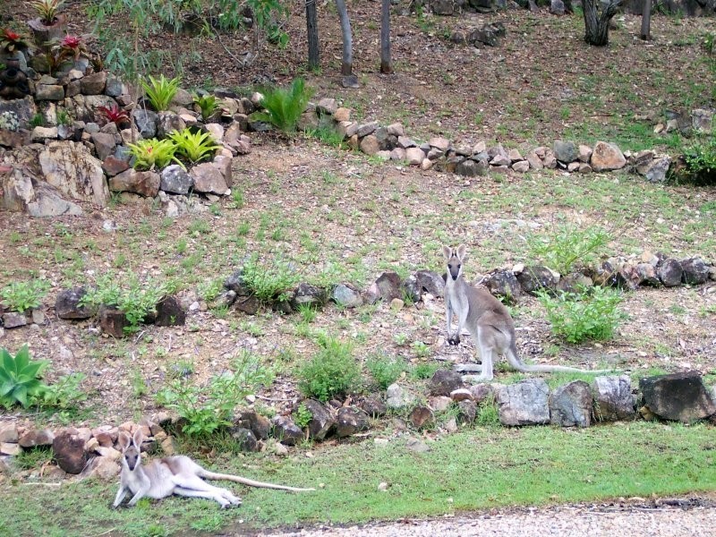 2510 Round Hill Road, Round Hill QLD 4677