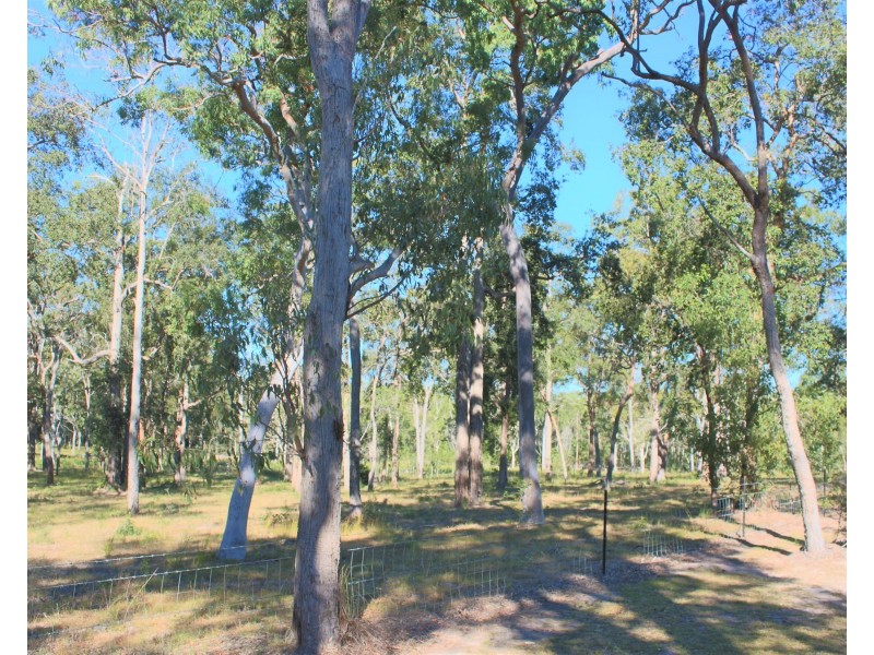 Captain Creek QLD 4677