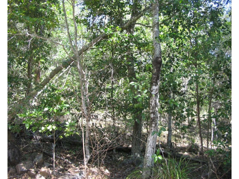 Agnes Water QLD 4677