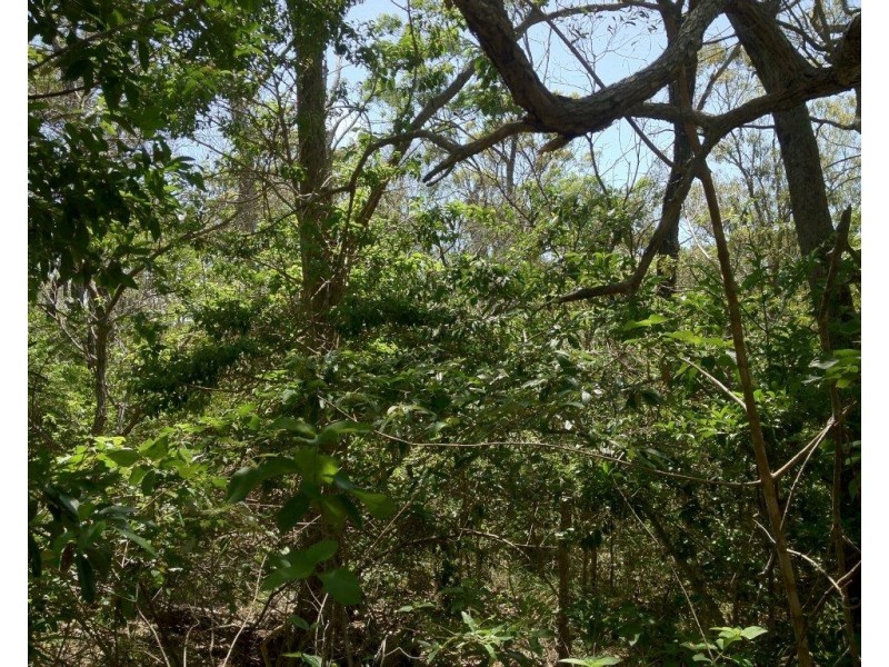 Agnes Water QLD 4677