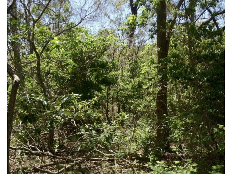 Agnes Water QLD 4677