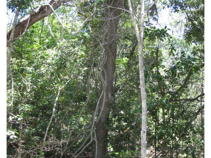 Agnes Water QLD 4677