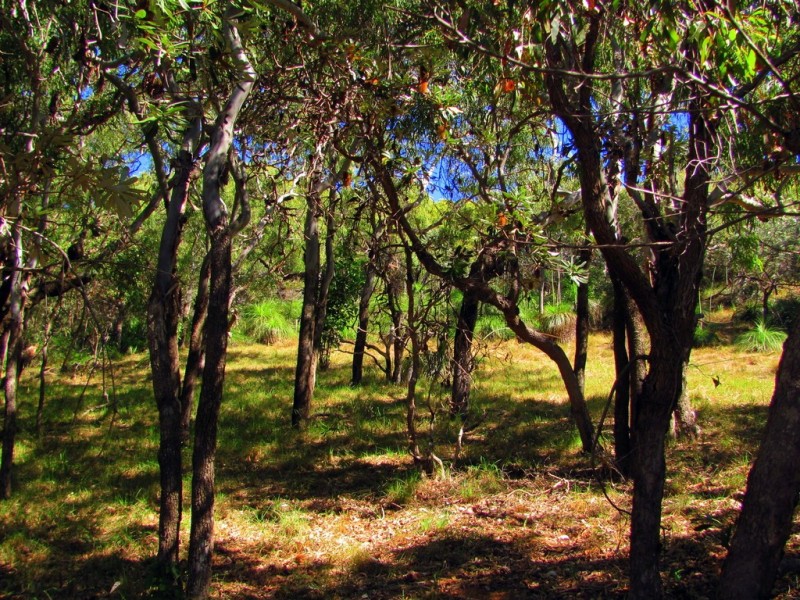 Agnes Water QLD 4677