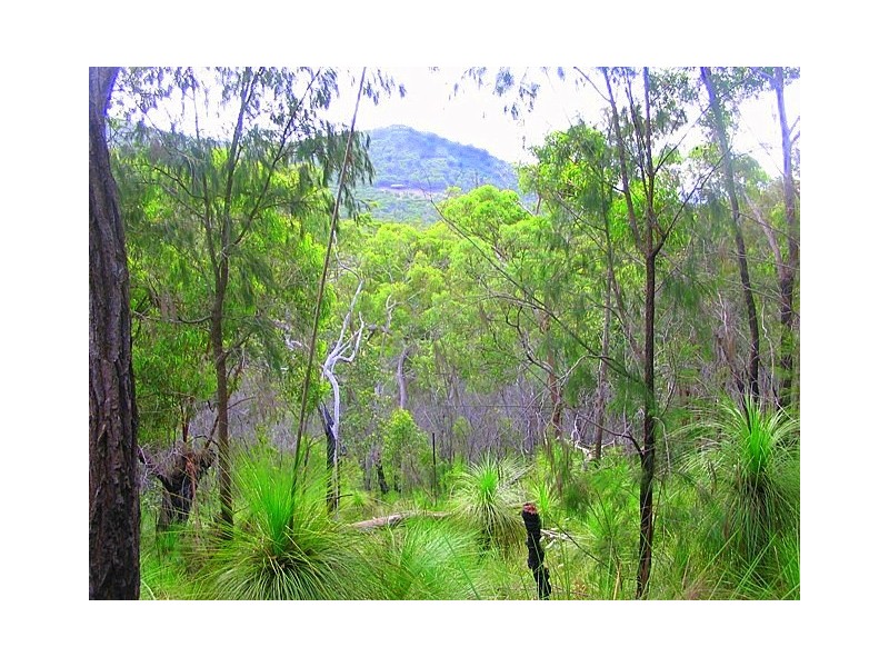 Agnes Water QLD 4677