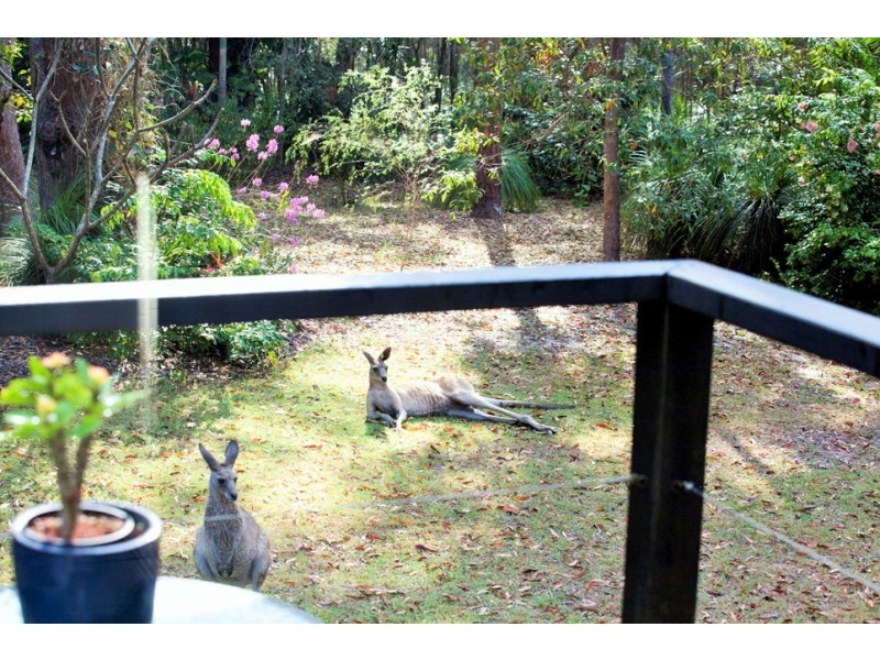 428 Lady Elliot Drive, Agnes Water QLD 4677
