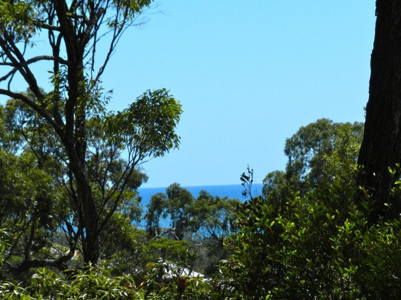 Agnes Water QLD 4677