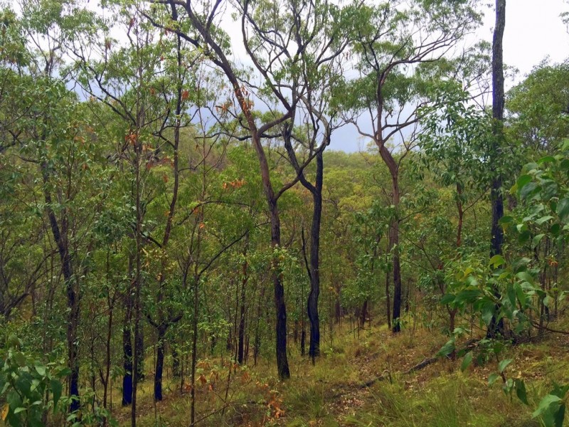235 Murphy Road, Captain Creek QLD 4677