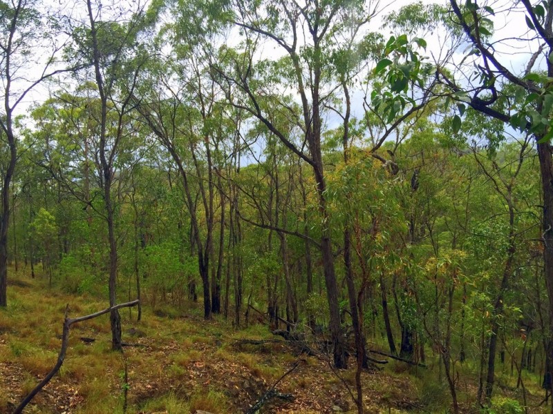 235 Murphy Road, Captain Creek QLD 4677