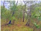 235 Murphy Road, Captain Creek QLD 4677