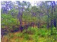 235 Murphy Road, Captain Creek QLD 4677
