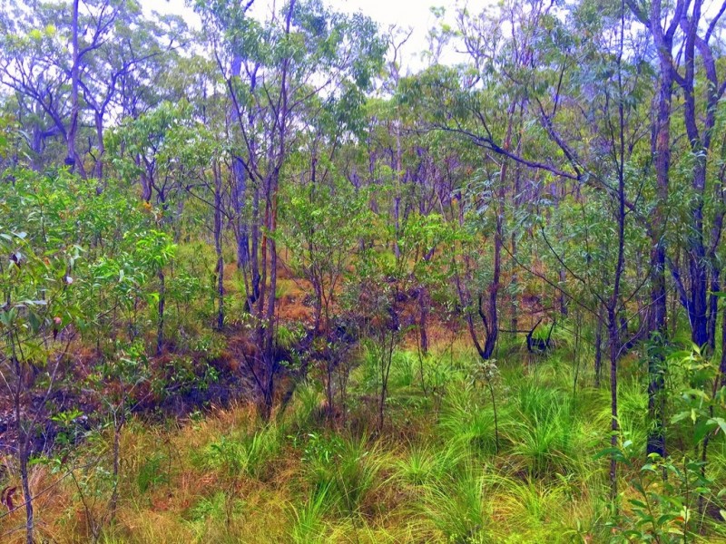 235 Murphy Road, Captain Creek QLD 4677