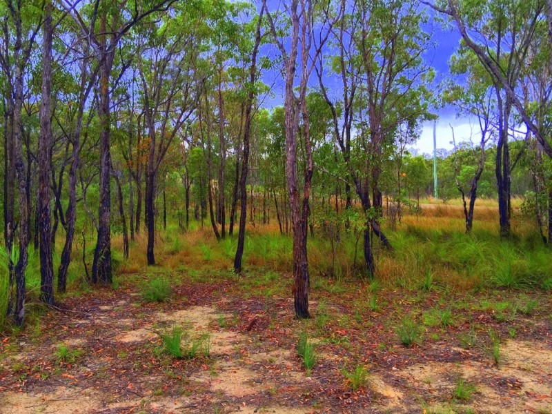 235 Murphy Road, Captain Creek QLD 4677