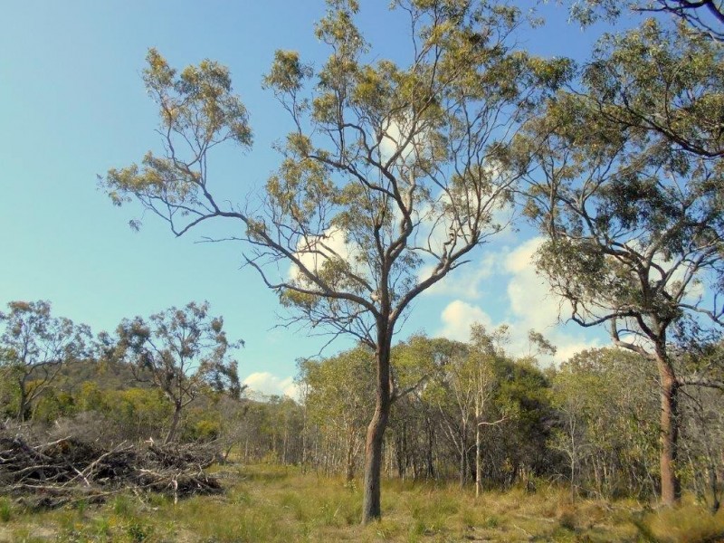 Agnes Water QLD 4677