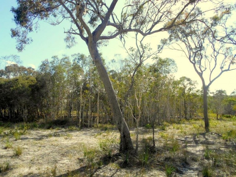 Agnes Water QLD 4677
