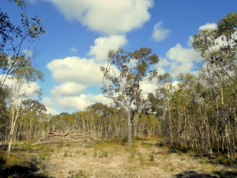 Agnes Water QLD 4677