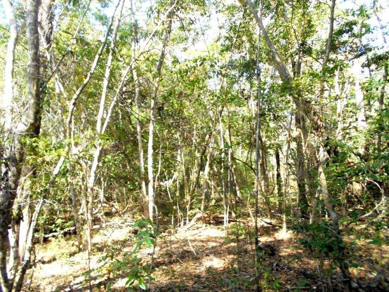 Agnes Water QLD 4677