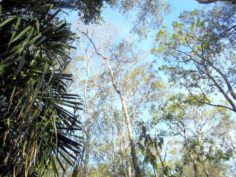 Agnes Water QLD 4677