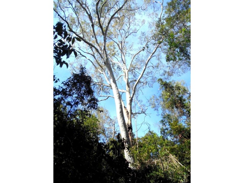 Agnes Water QLD 4677