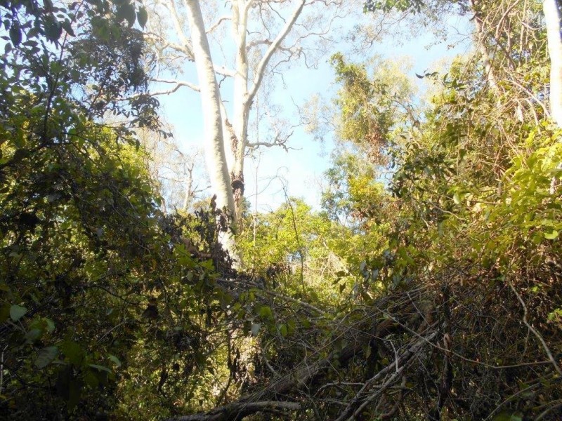 Agnes Water QLD 4677