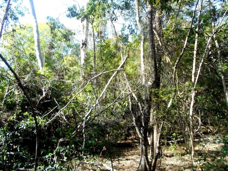 Agnes Water QLD 4677
