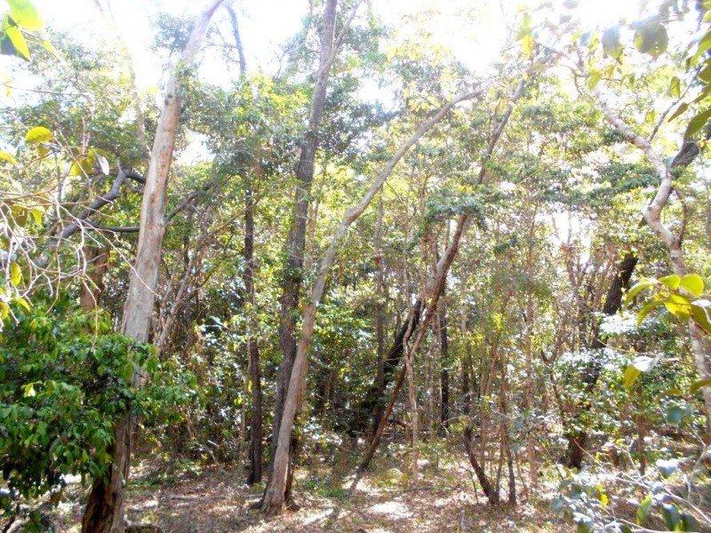 Agnes Water QLD 4677