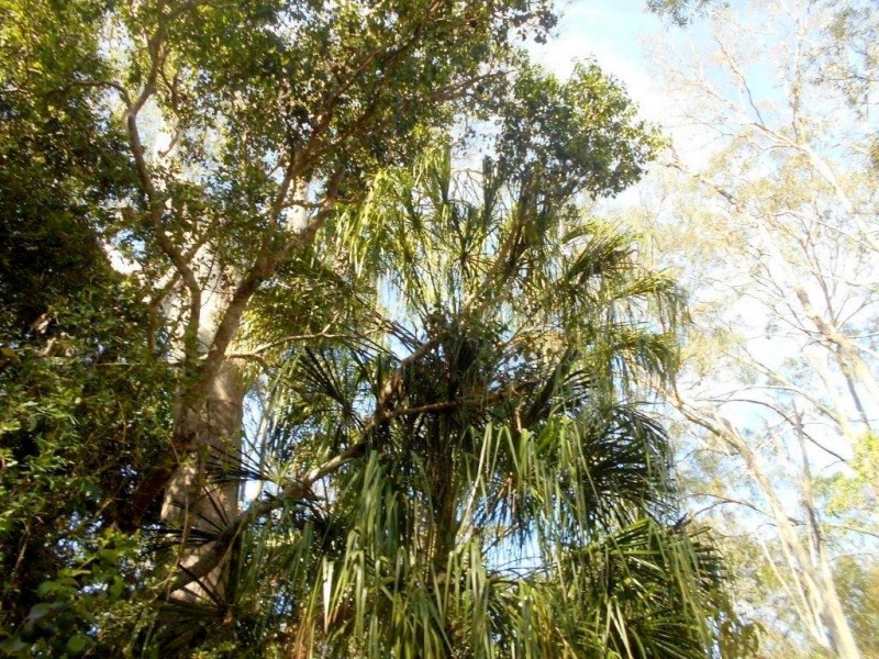 Agnes Water QLD 4677