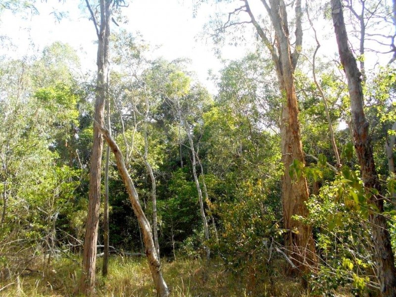 Agnes Water QLD 4677