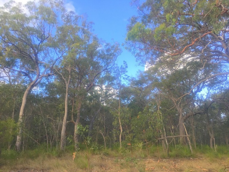 18 Lady Elliot Drive, Agnes Water QLD 4677