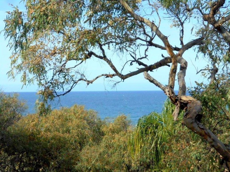 Agnes Water QLD 4677