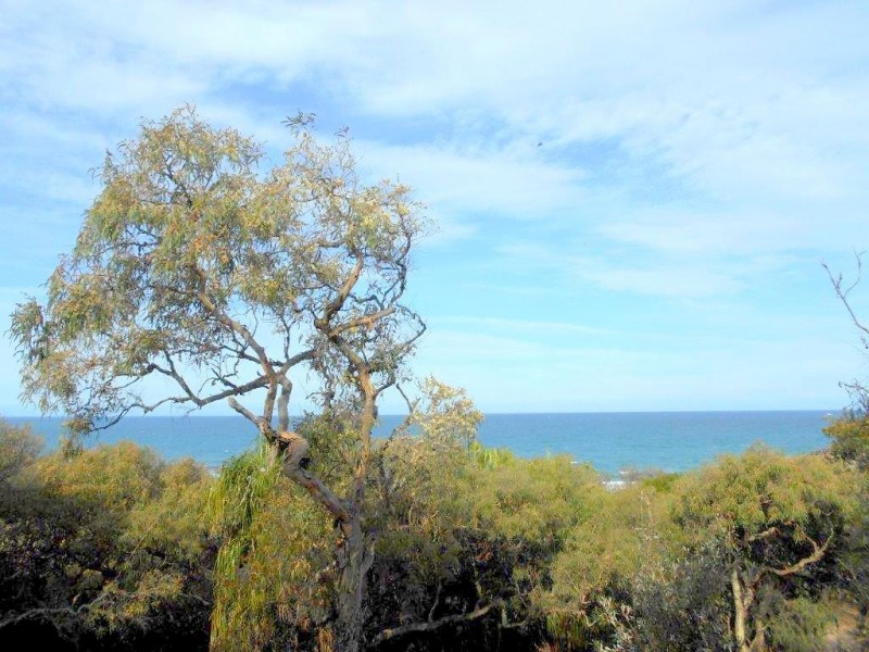 Agnes Water QLD 4677
