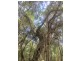110 Innamincka Way, Agnes Water QLD 4677