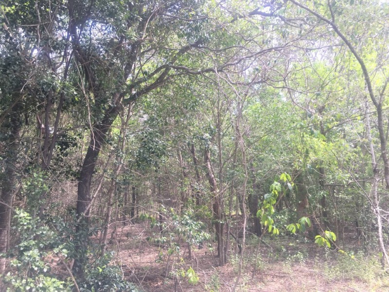 110 Innamincka Way, Agnes Water QLD 4677