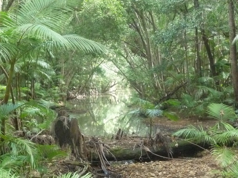 Lot 64 CREEVEY DRIVE, Captain Creek QLD 4677