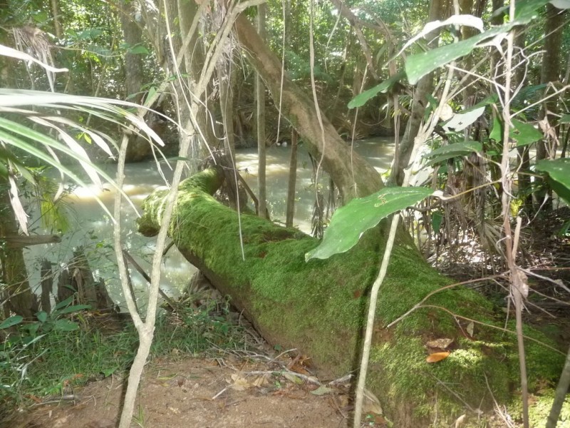 Lot 64 CREEVEY DRIVE, Captain Creek QLD 4677