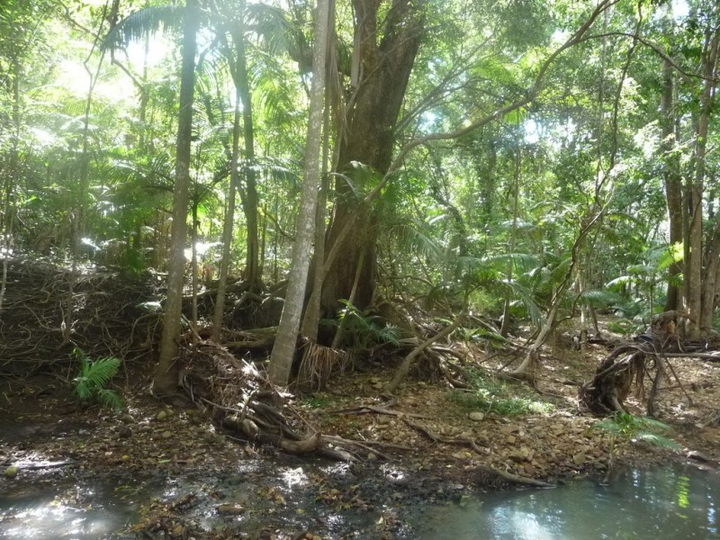 Lot 64 CREEVEY DRIVE, Captain Creek QLD 4677