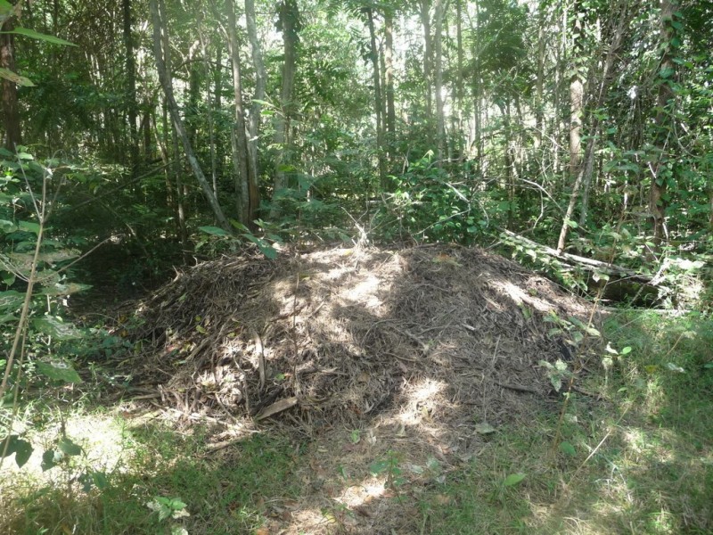 Lot 64 CREEVEY DRIVE, Captain Creek QLD 4677