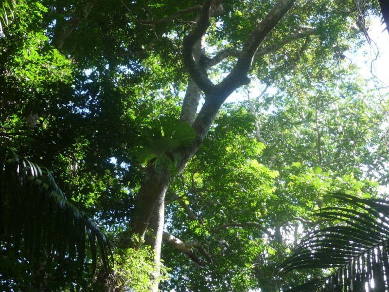 Lot 64 CREEVEY DRIVE, Captain Creek QLD 4677