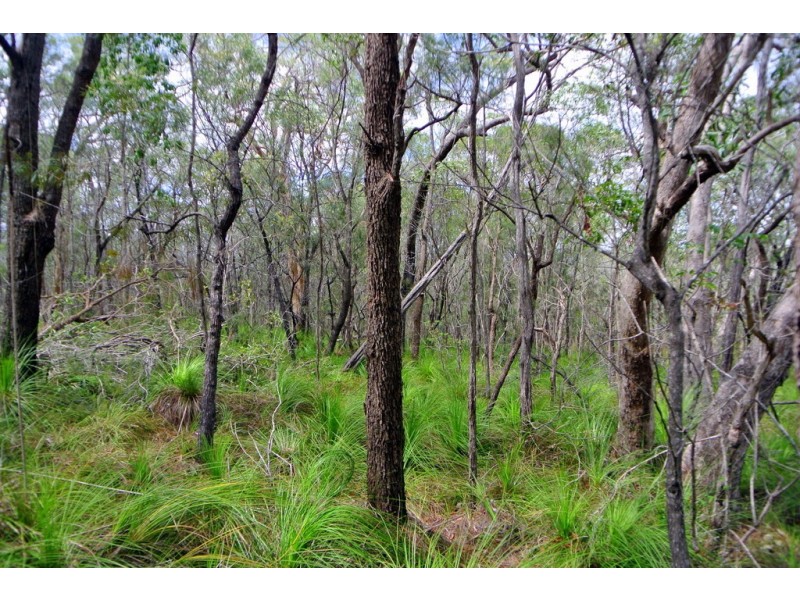 Agnes Water QLD 4677