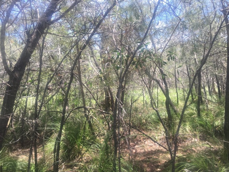 300 Streeter Drive, Agnes Water QLD 4677