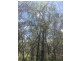 300 Streeter Drive, Agnes Water QLD 4677