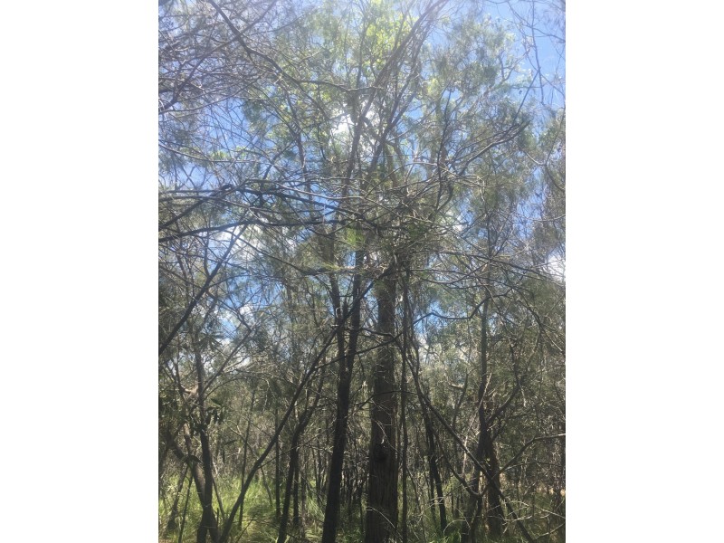 300 Streeter Drive, Agnes Water QLD 4677