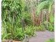 3/52 Captain Cook Drive, Agnes Water QLD 4677